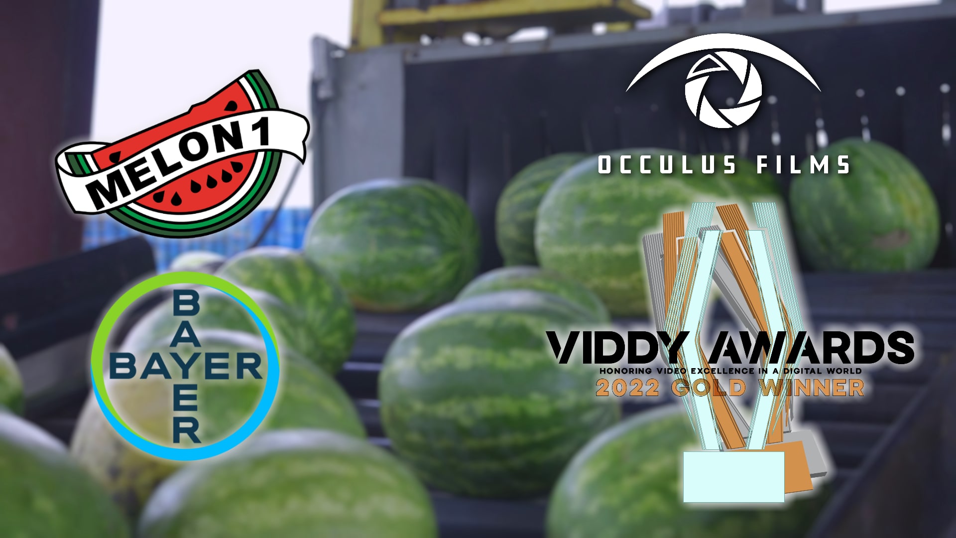 Occulus Films Recognized with Gold Viddy Award for Bayer Video